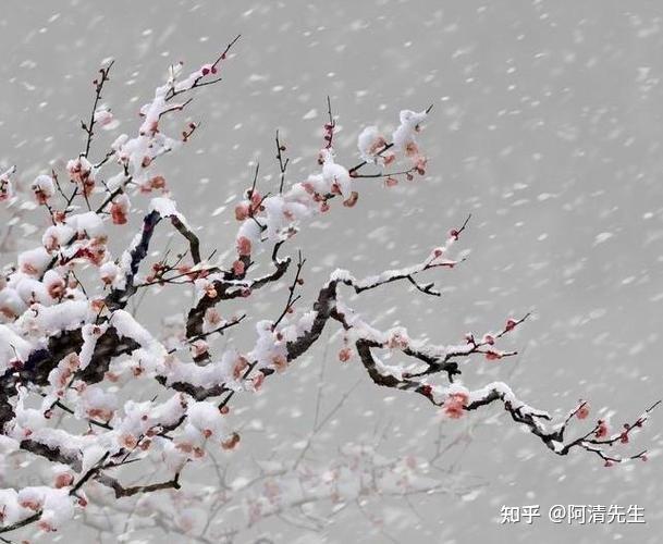 缅怀娄绍昆先生(2023.2.7) - 知乎