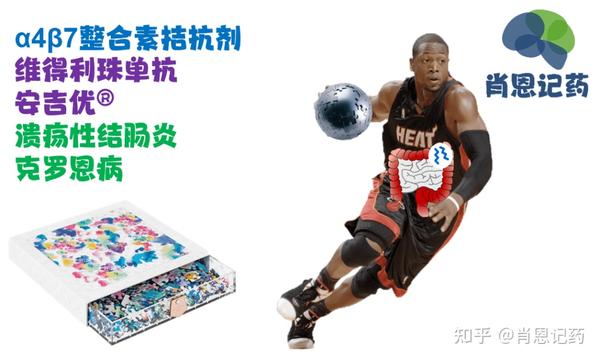 图像记忆 | α4β7整合素拮抗剂 | 维得利珠单抗 | 安吉优 | 溃疡性结肠炎、克罗恩病生物药 - 知乎