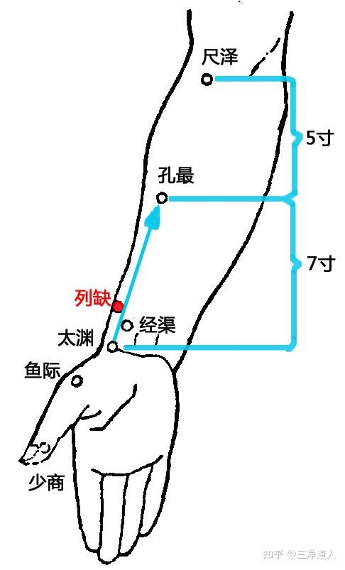 列缺的准确位置图主治图片