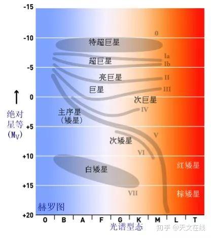 猎情