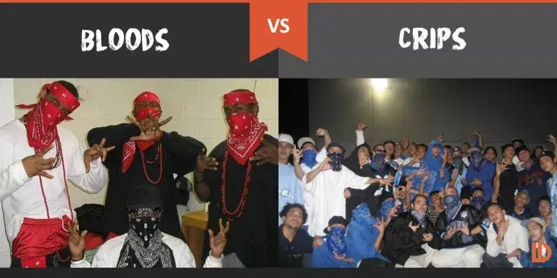 6IX9INE是不是血帮的？| 究竟有多少Rapper属于血帮或瘸帮？ - 知乎