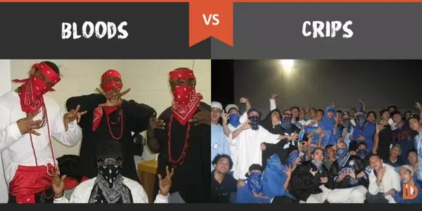 6IX9INE是不是血帮的?| 究竟有多少Rapper属于血帮或瘸帮? - 知乎