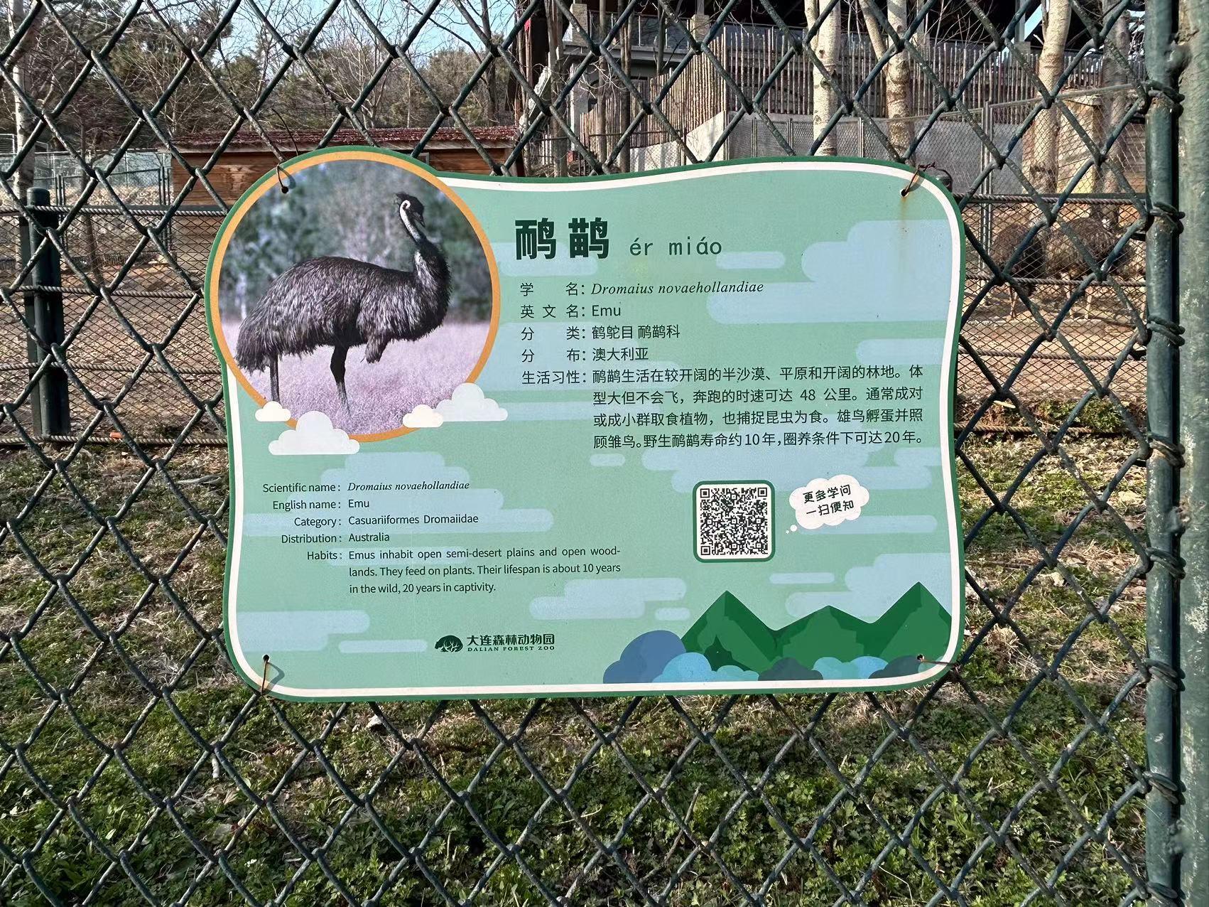 【辽东游记】大连-森林动物园——野生动物放养区