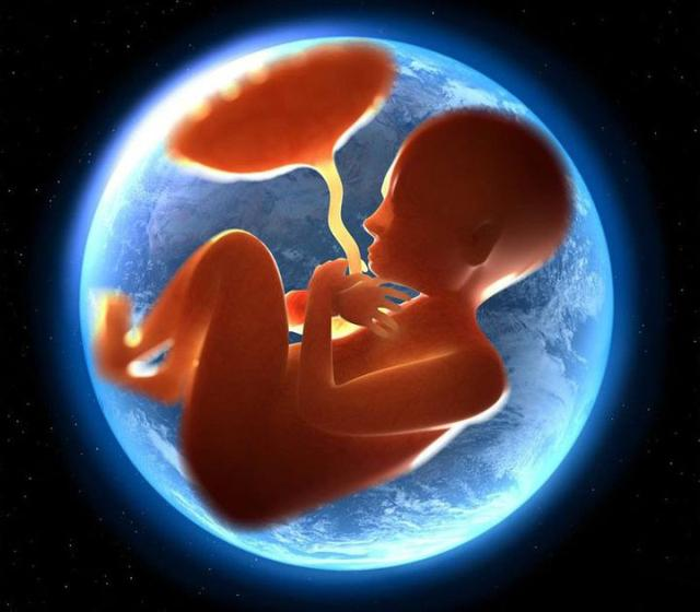 几个月开始胎儿容易脐带绕颈 v2-e0b279ae71914e6f087a1a580140a802_r.jpg