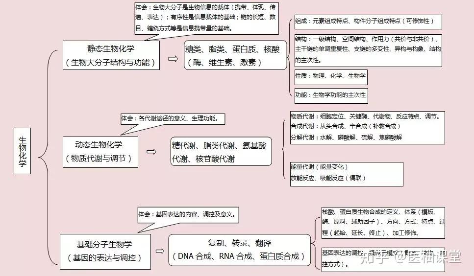 生物化学 思维导图