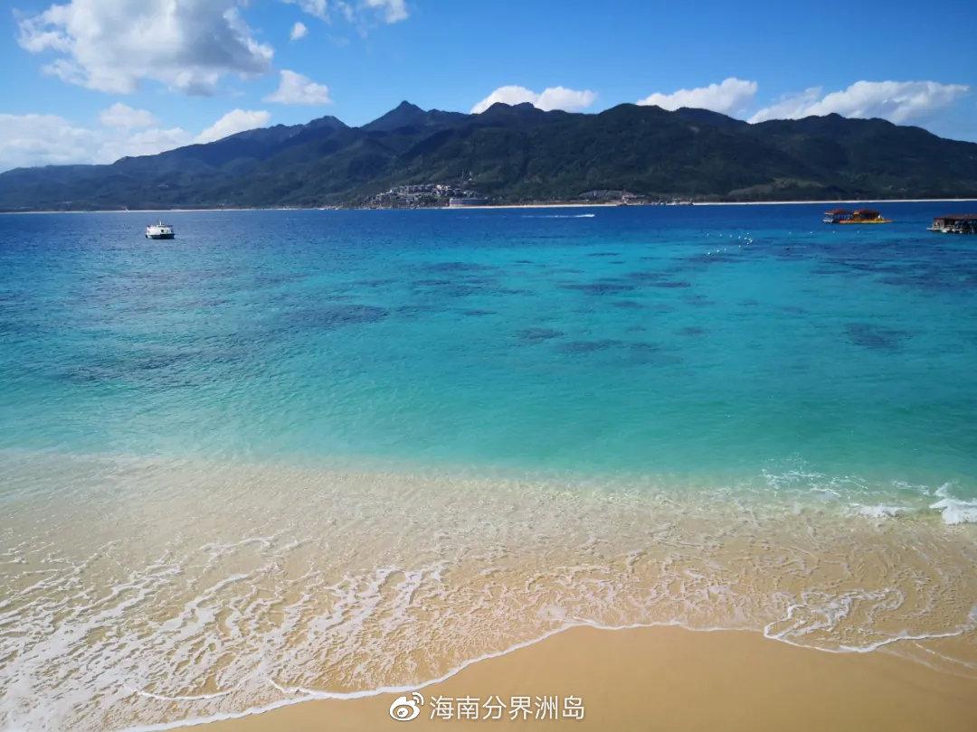 清明假期踏青正當時分界洲島春風十里待你來賞