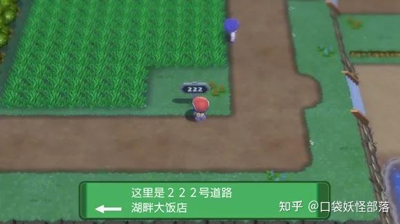 宝可梦晶灿钻石发售日期(《宝可梦晶灿钻石明亮珍珠》一周目图文攻略)  第327张