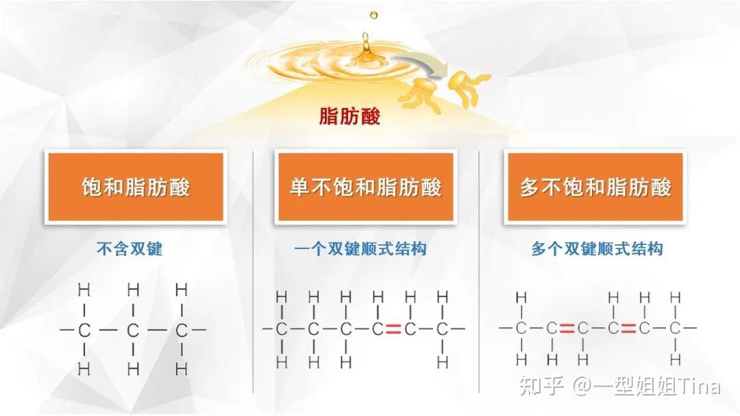 脂肪有很多类型,包括饱和脂肪酸,单不饱和脂肪酸,多不饱和脂肪酸,反式