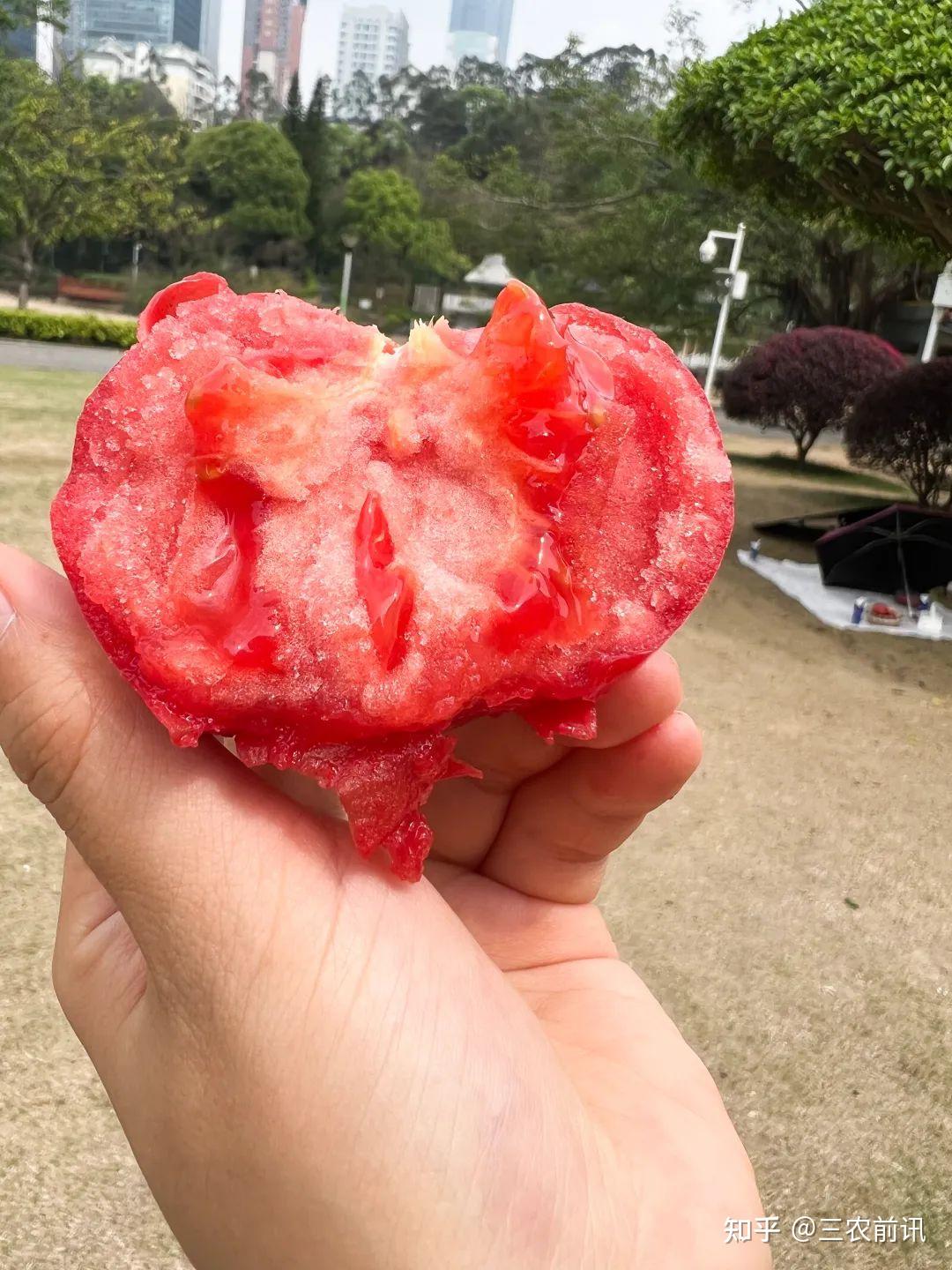 轻轻开水一烫,即可撕下~简单的一道西红柿炒鸡蛋,汤汁浓郁,番茄味超正