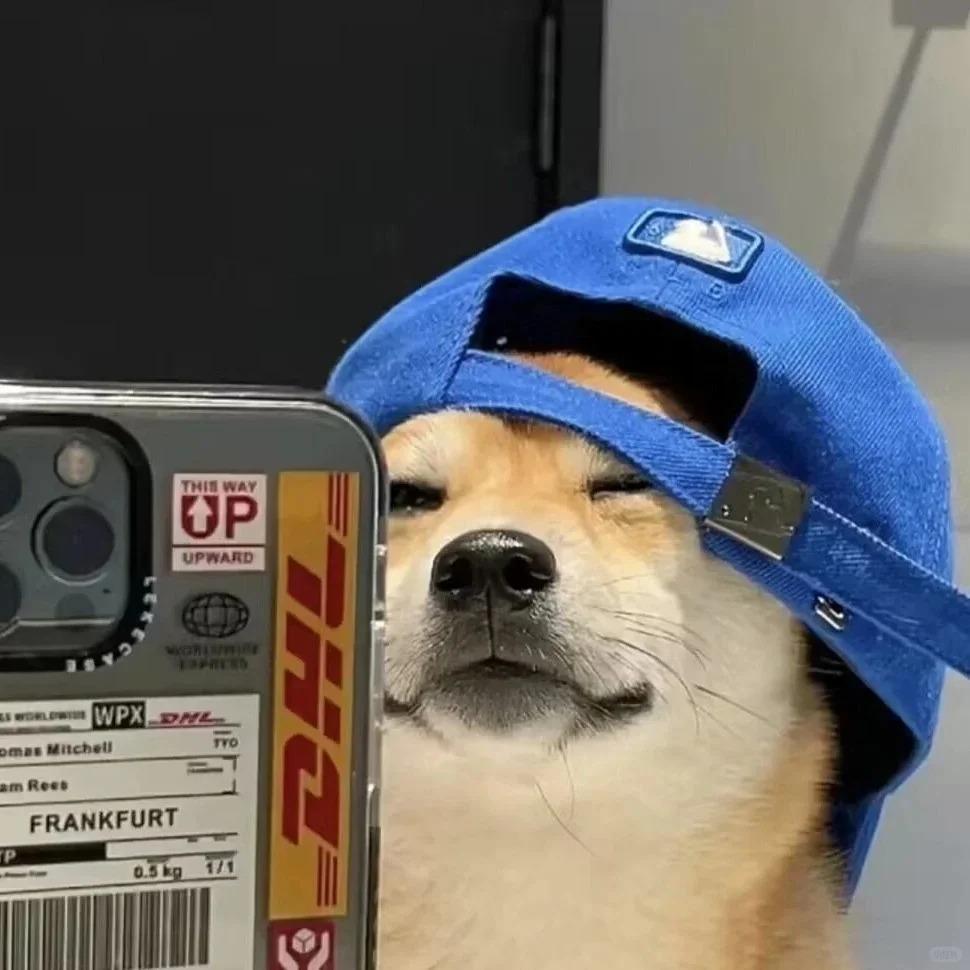 写干货的小凯