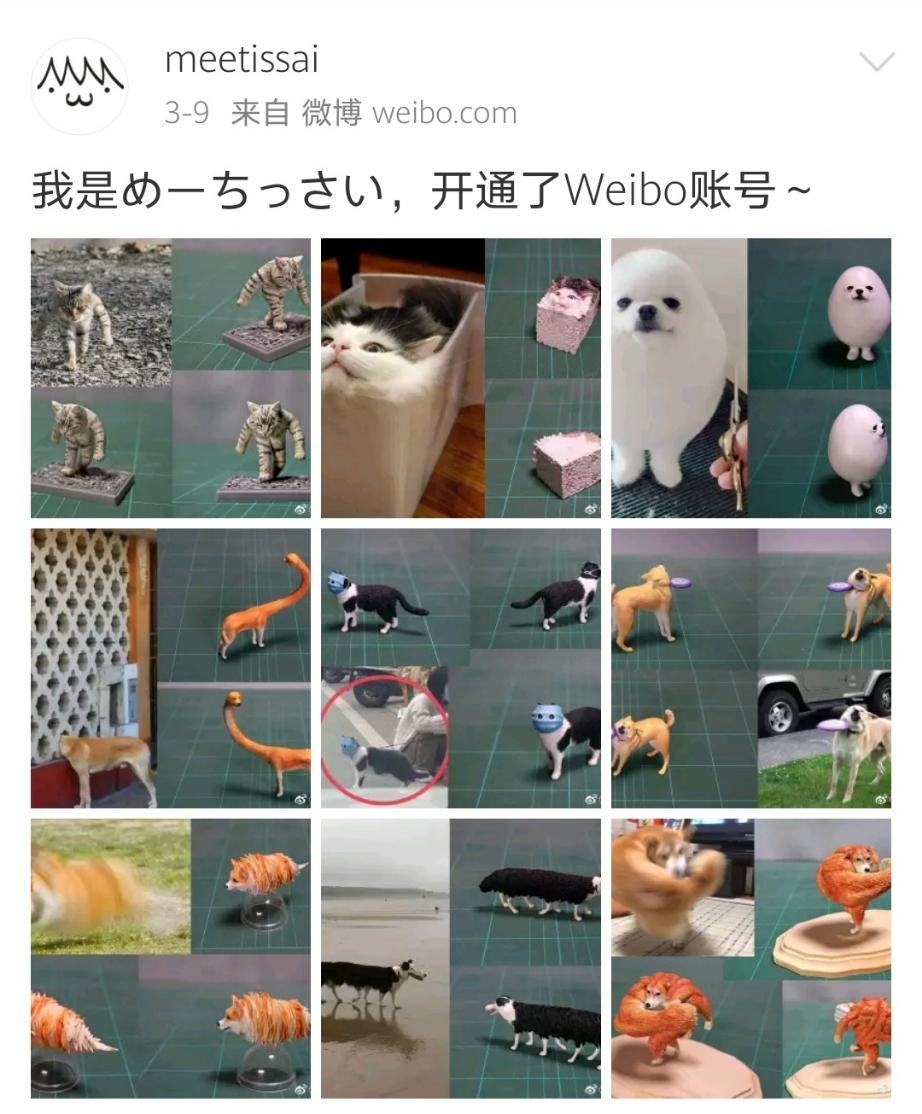 推特和微博哪个先出现 v2-e0f8da128a8bbeac83006ed9eb43406f_r.jpg