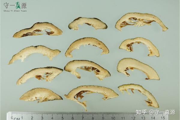 深入浅出聊枳实、枳壳之前生 - 知乎