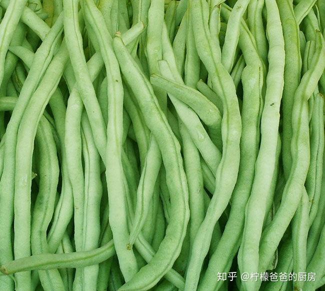 豆角有毒吗 zhuanlan.zhihu.com
