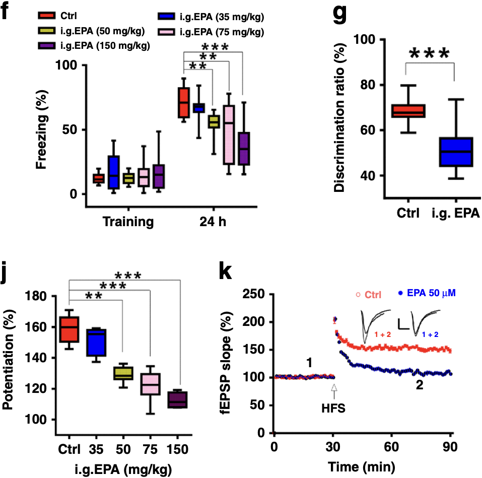 不能被忽视的提高记忆力，DHA是真有用（dha真的可以促进孩子增强记忆力吗）