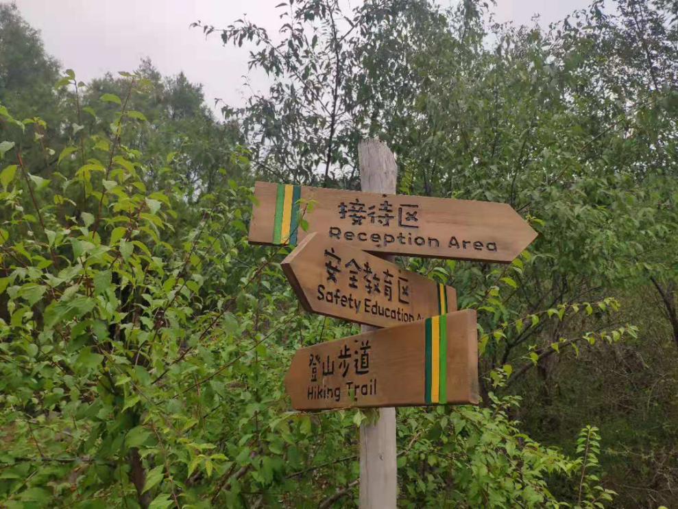 探访绿骑士营地半小时能教会孩子火灾逃生吗