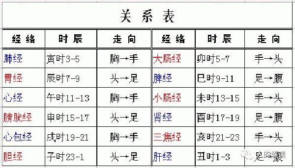 子午流注人人必知的經絡運行週期規律