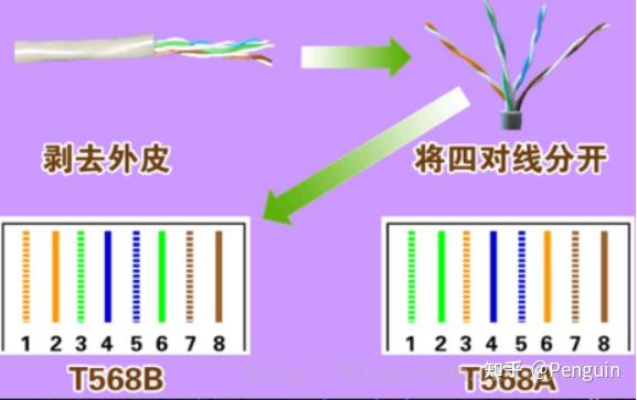 计算机网络-双绞线制作实验 - 知乎