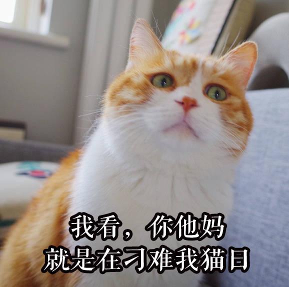 如果西游记(原著)里的唐僧师徒性格都转变成题