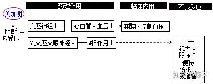 敏使朗药理机制图片