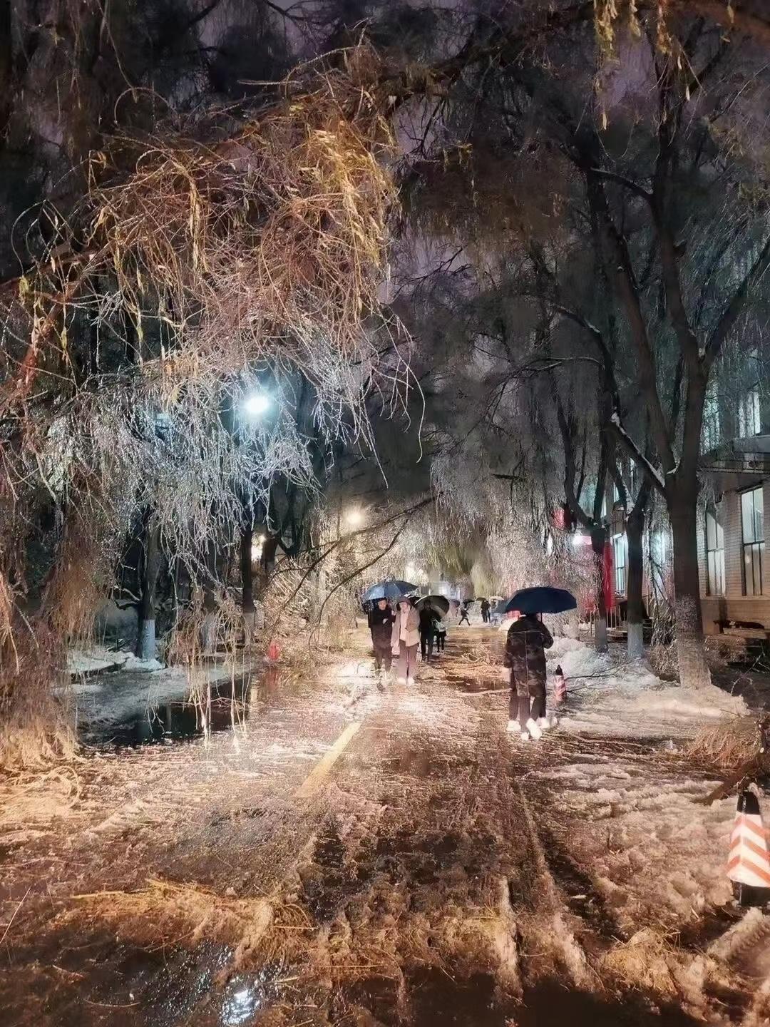 哈尔滨冻雨图片图片