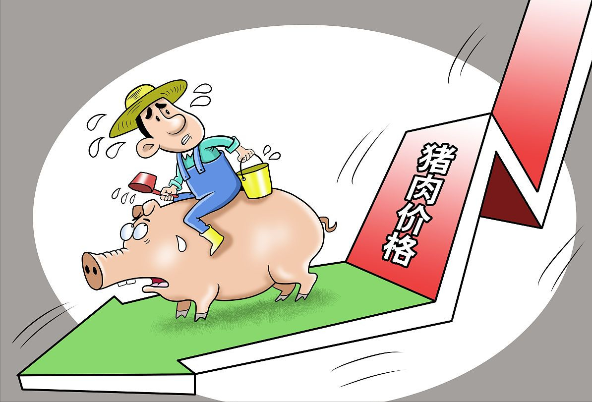 毛猪价什么时候上涨 毛猪价格到年底会跌吗
