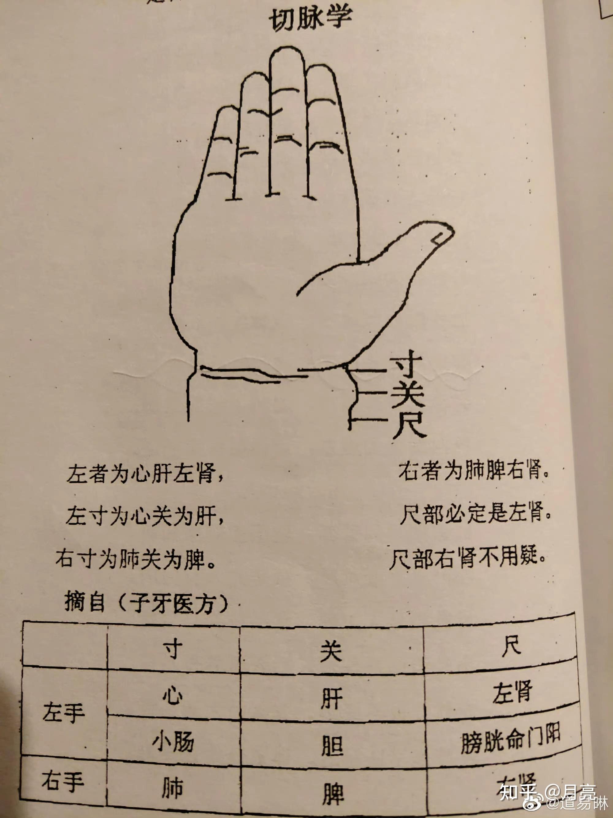 脉诊图看这！ - 知乎