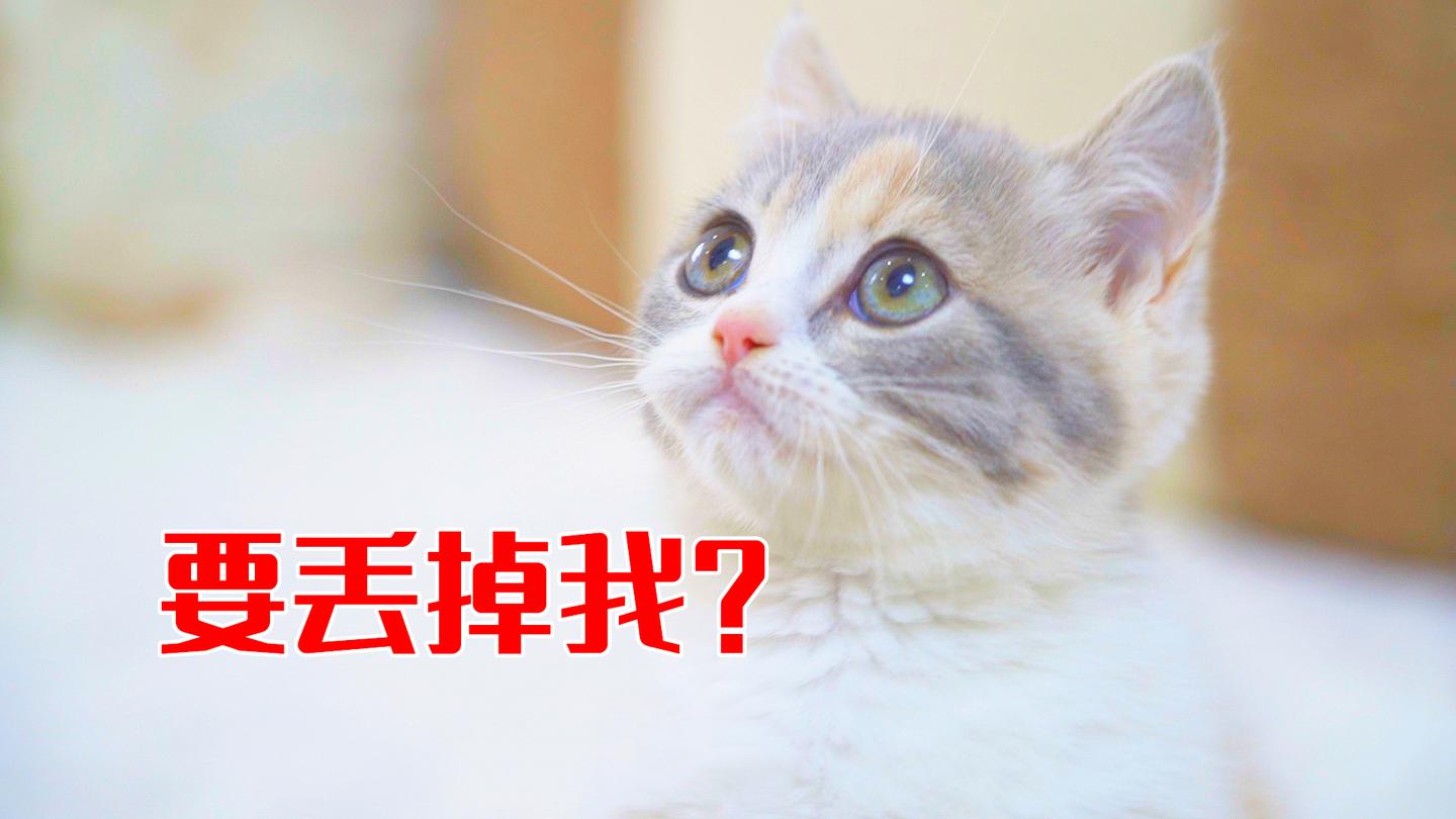 v2-e15b8054a220b0f12e6895d9be2c98e8_1440w.jpg?source=172ae18b