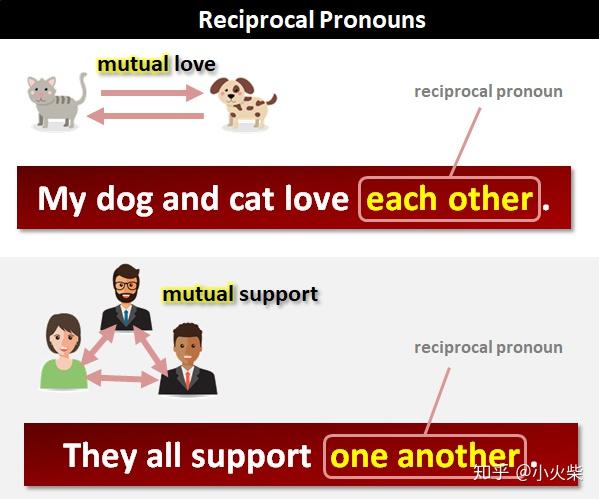 英语中的八种代词(Pronouns) - 知乎
