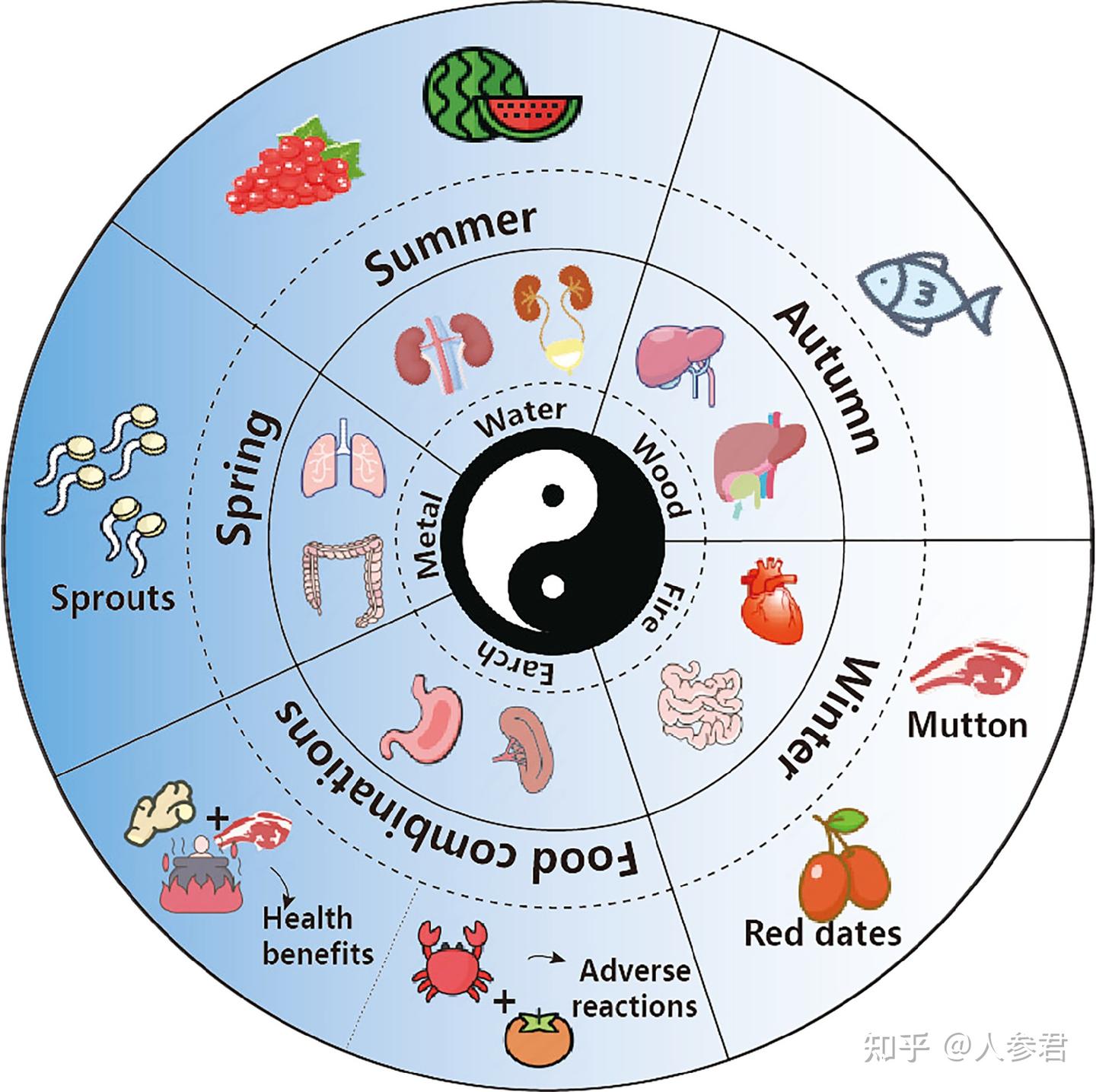 药食同源:从《黄帝内经》到现代科学的传承与创新 - 知乎