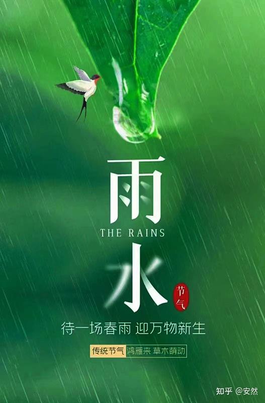 雨水节气图片2022图片