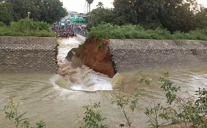 大坝建了42年,启用1天就被冲毁 官员:老鼠洞惹的祸