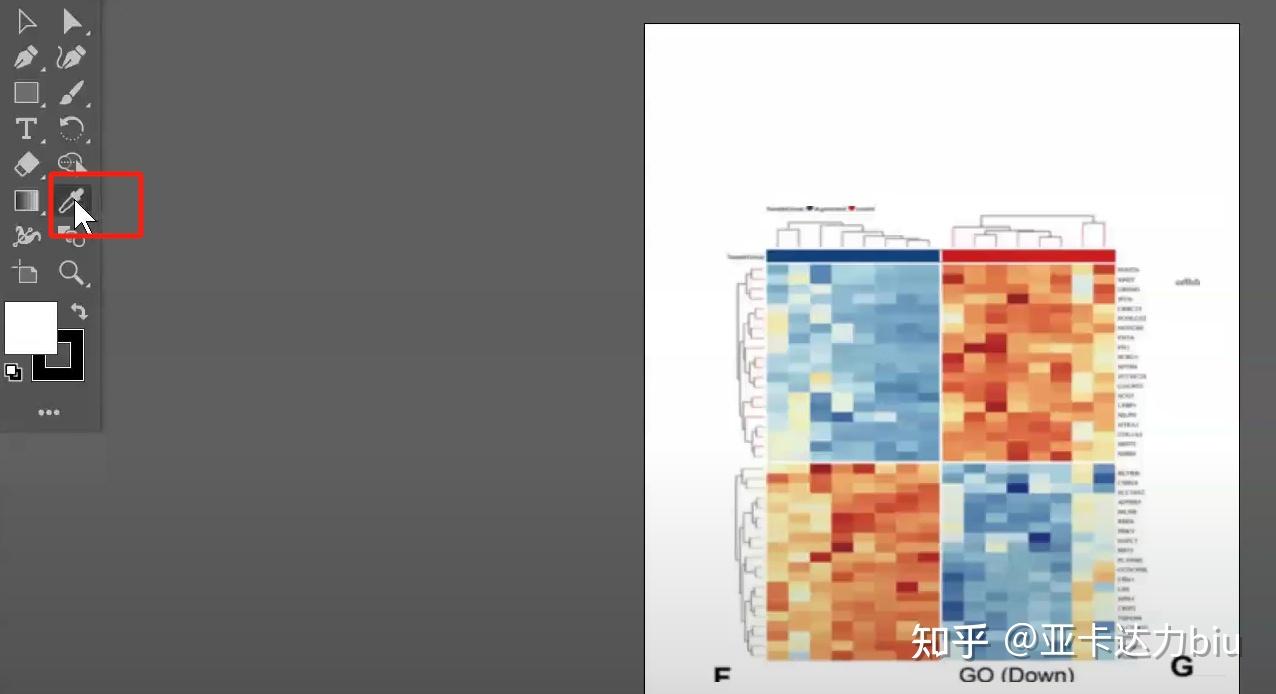 R语言热图美化pheatmap包（免费获取代码） 知乎