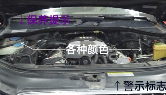 v2-e17d66fac779d37f3c5b42a3b8568caa_r.jpg