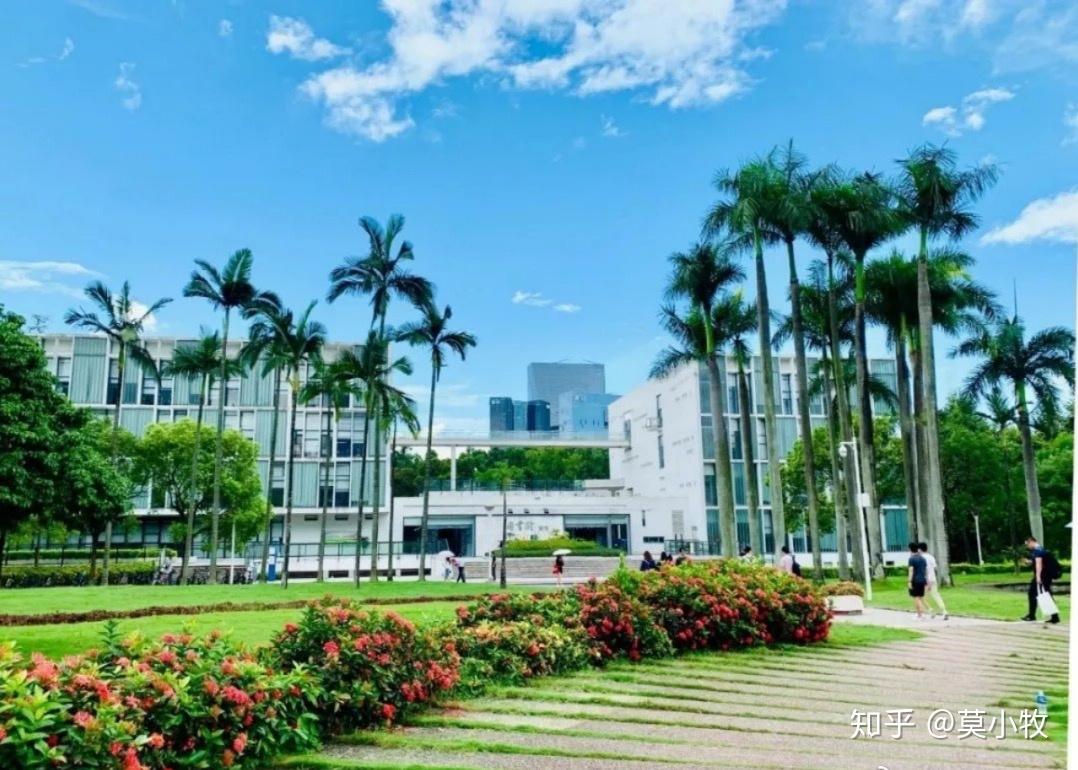 深圳大学艺术设计专硕日常分享内附成绩单经验之谈