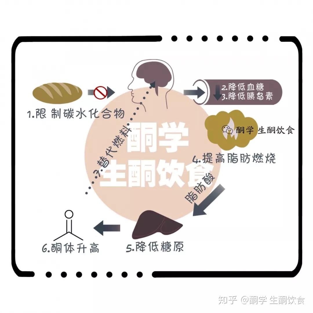 生酮知识:酮体vs葡萄糖,谁才是最强大脑能源? - 知乎