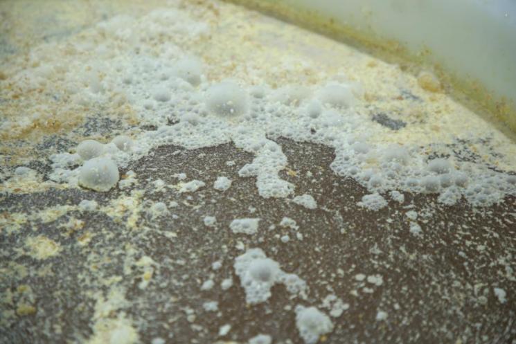 自然发酵所涉及的微生物主要有酵母菌,曲霉菌及乳酸菌