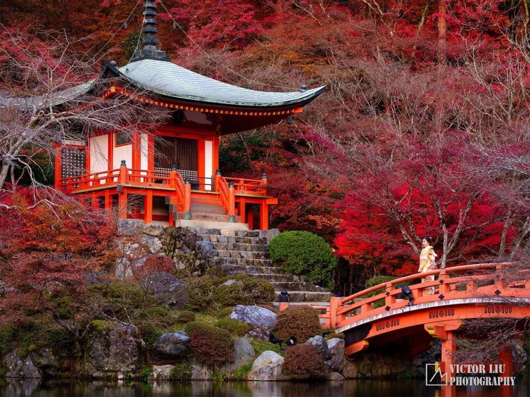 G?活? 去日本红叶祭，不要错过红叶配富士山的最佳搭配！-搜狐
