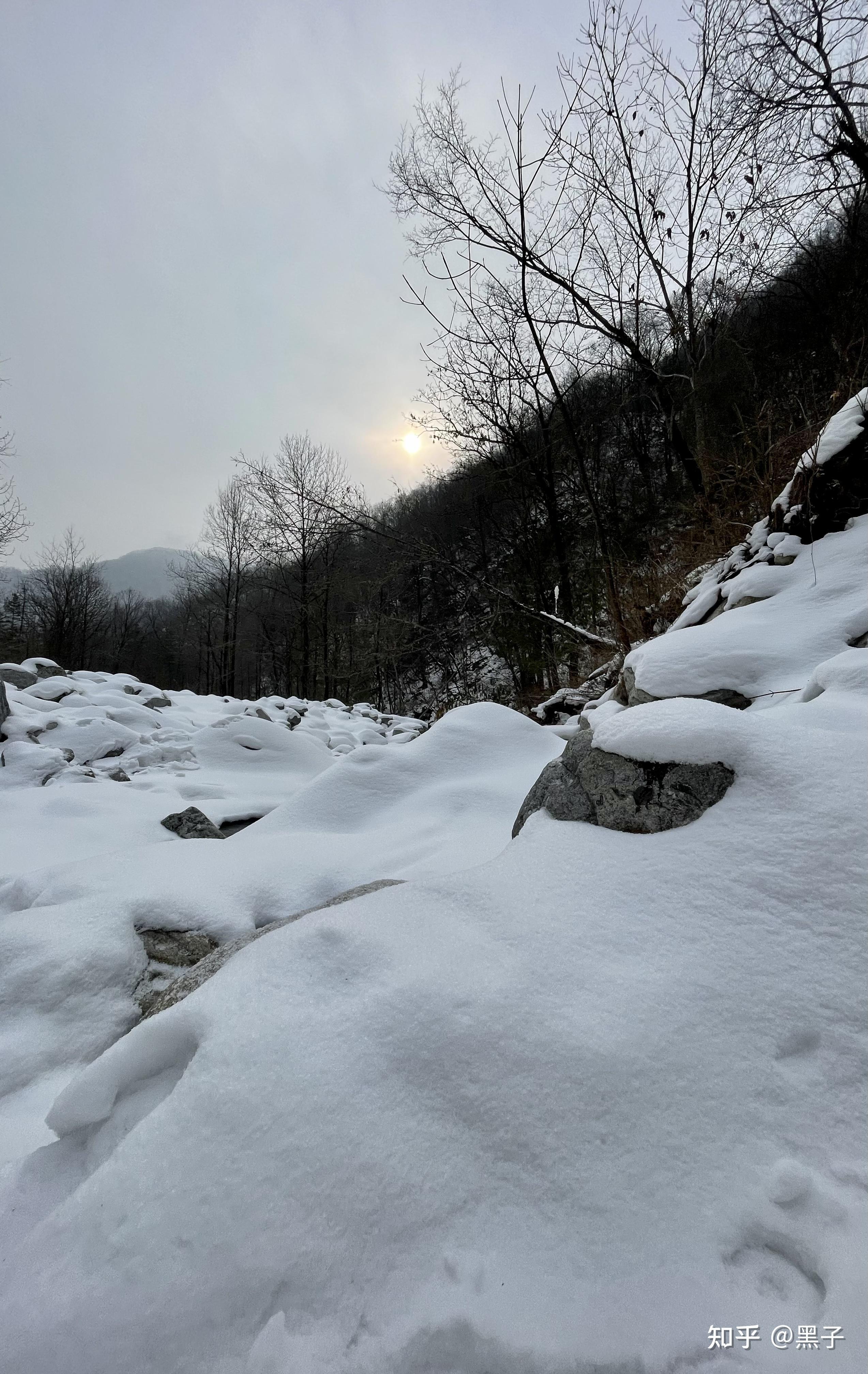 登山徒步秦岭脊梁东梁高山草甸