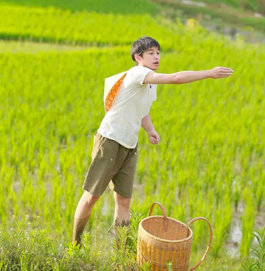 向往的生活之睡遍娱乐圈的简单介绍