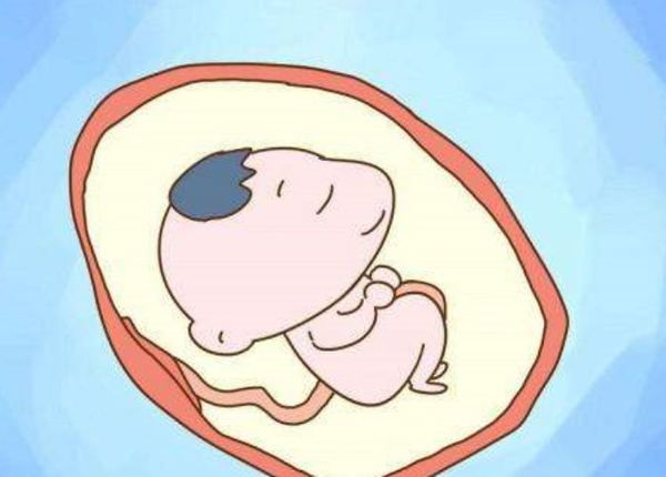 37周和39周生宝宝都是足月 结果却并不相同 知乎