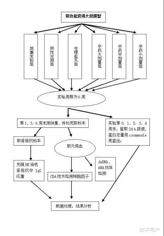 如何写好论文技术路线图 - 知乎
