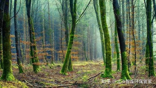 潘多林正在一点一点消失