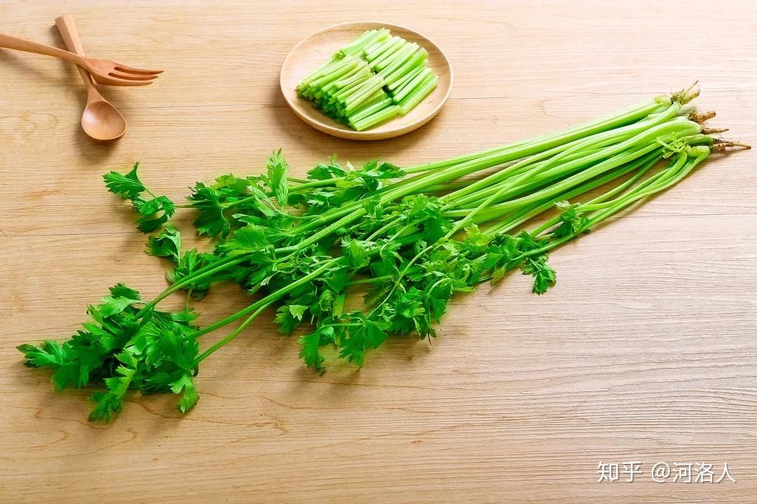 思乐泮水薄采其芹野菜唤乡愁之水芹菜