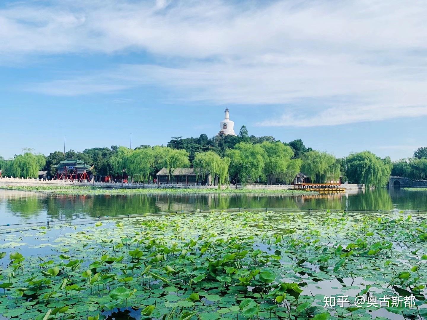 京都攬勝之八·北海公園 - 知乎