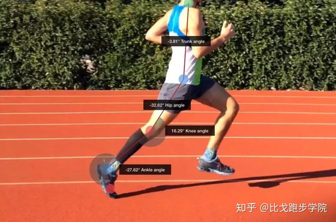 跑步时躯干稳定,下肢摆腿就可以理解为是以髋关节为中心,因为它是骨盆
