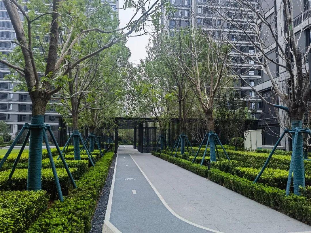 石家庄顶级房企交房大比拼:绿城,中海,龙湖,金茂