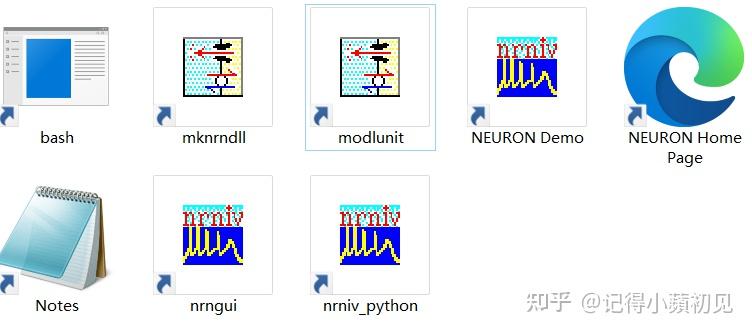 Neuron Widget 初次使用NEURON软件的问题与吐槽 - 知乎