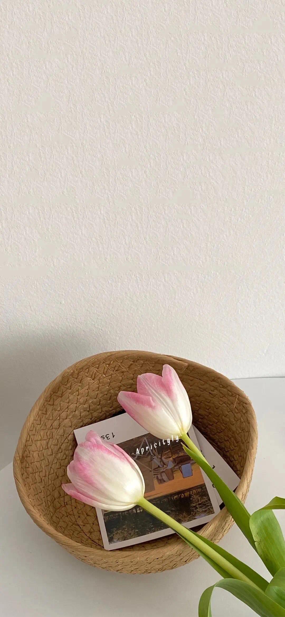 你用过的最好看的手机壁纸和锁屏壁纸是什么? - 知乎