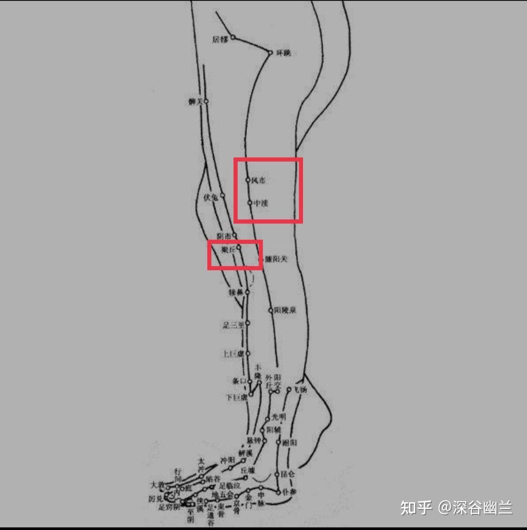 腿部痛点的准确位置图图片