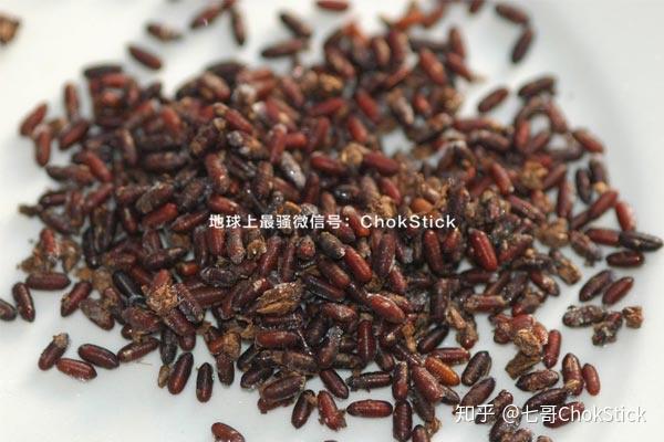 苍蝇的蛹,因为含丰富的铁质,被形容为 "血布丁",有人为了健康环保而吃